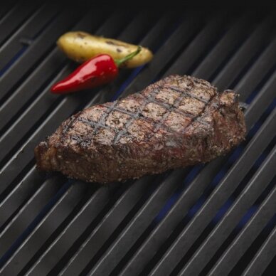 Ketaus grotelės KamadoClub Junior, 34.5 cm 2